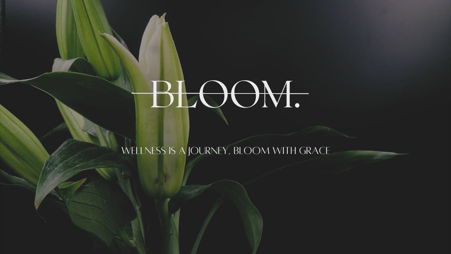 Bloom - Bloom with Grace (7 items)